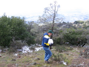 snowball bowling